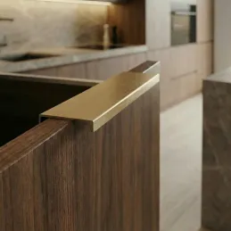 Griff für Türkante DIAZ / Gebürstetes Gold