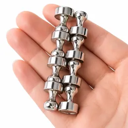 Set mit 16 Magneten für den Kühlschrank / Chrom