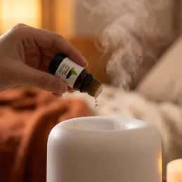 Set aus 6 Duftölen für Aromadiffusoren / 10 ml