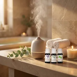 Set aus 6 Duftölen für Aromadiffusoren / 10 ml